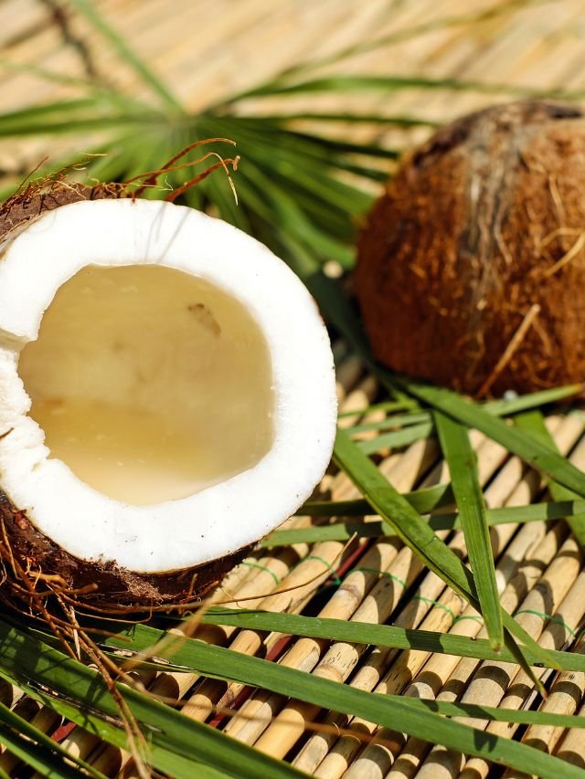 Read more about the article The Benefits of Eating Coconut in Daily Life