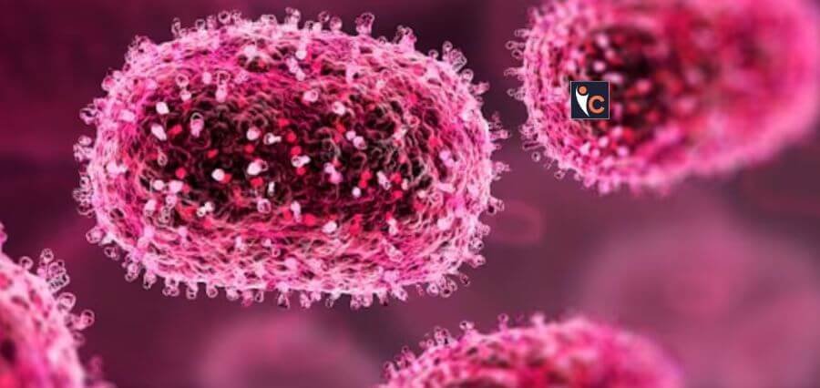 New Chandipura Virus Outbreak 15 Cases reported TN Health Dept on High Alert